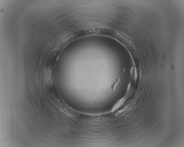 X0000073711060200608031234