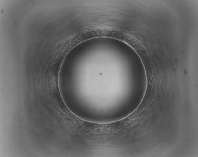 X0000073711061200608031234