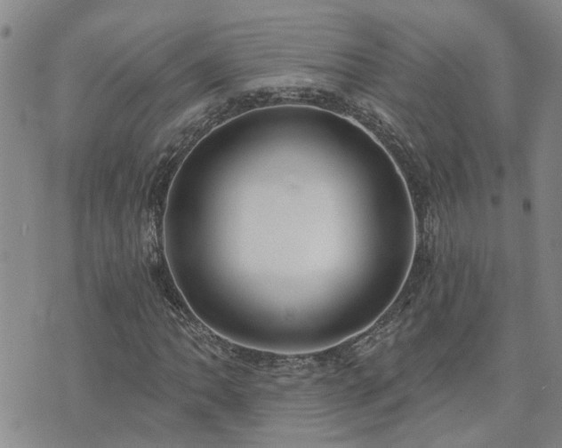 X0000073711062200608031234