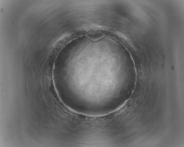 X0000073711063200608031234