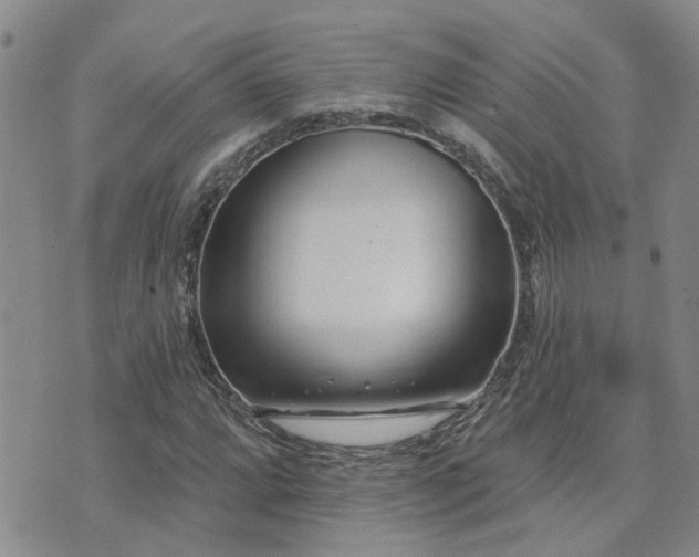 X0000073711064200608031234