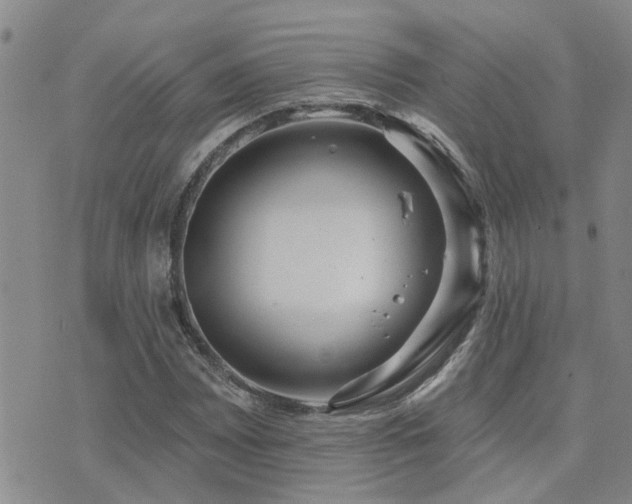 X0000073711065200608031234