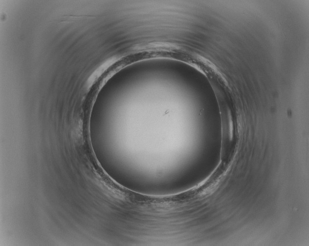 X0000073711066200608031234