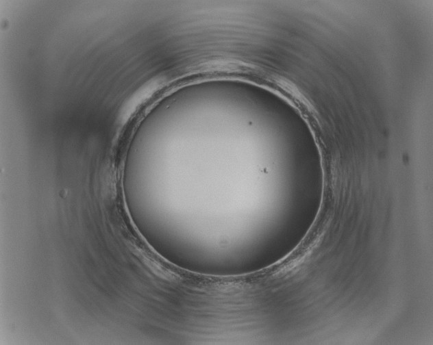 X0000073711067200608031234