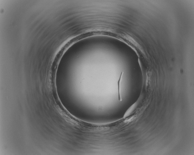 X0000073711068200608031234