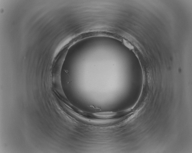 X0000073711069200608031234