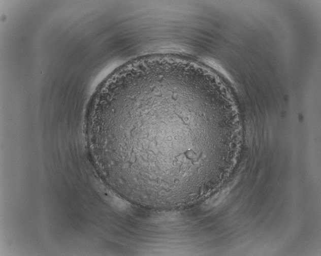 X0000073711071200608031234