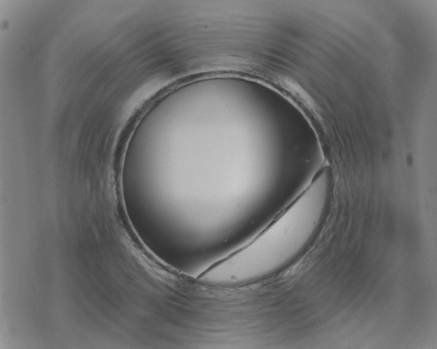 X0000073711072200608031234