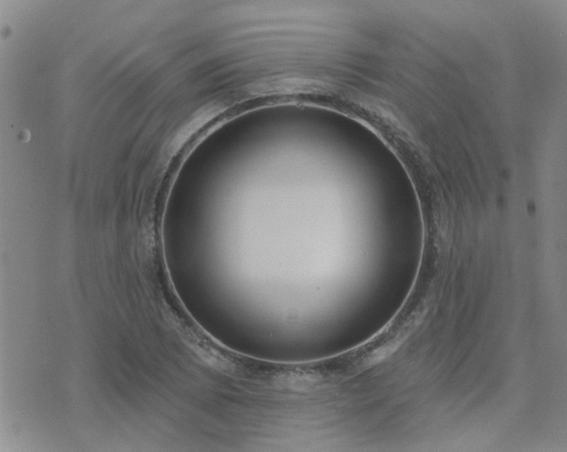 X0000073711073200608031234