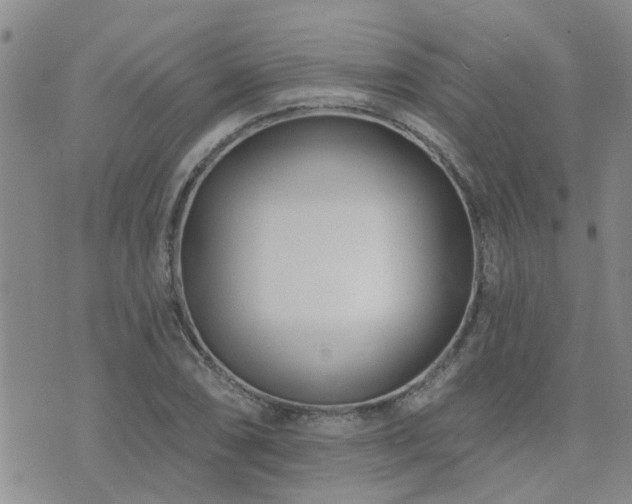 X0000073711074200608031234