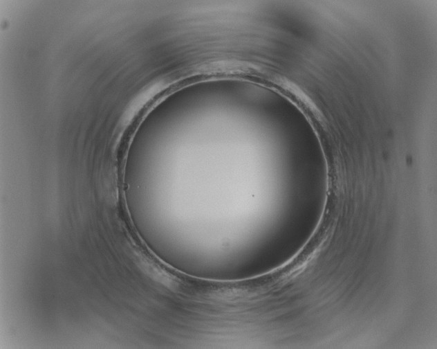 X0000073711075200608031234