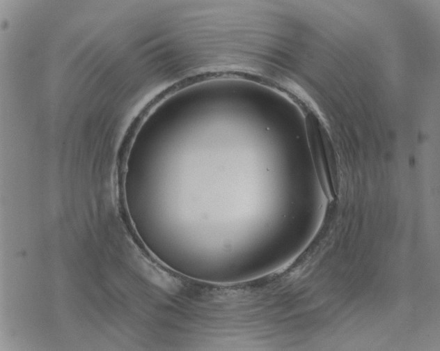 X0000073711076200608031234