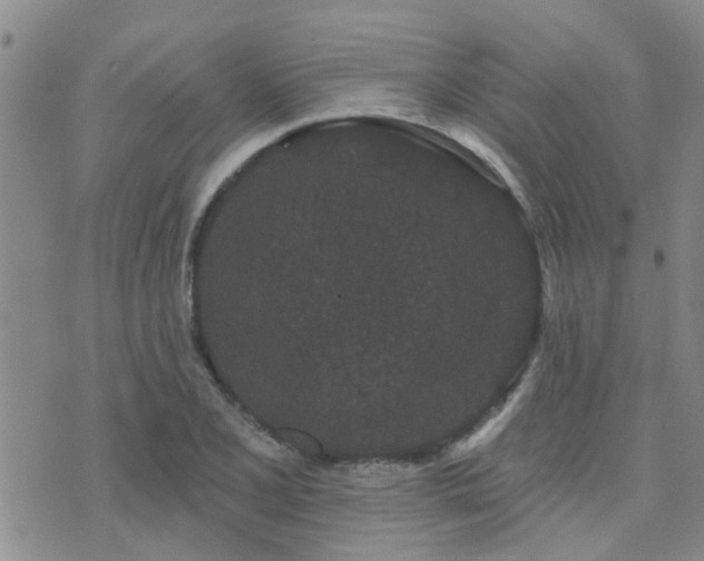 X0000073711077200608031234