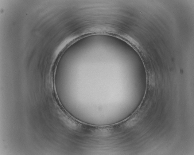 X0000073711078200608031234