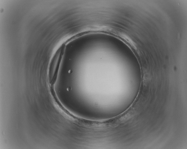 X0000073711080200608031234