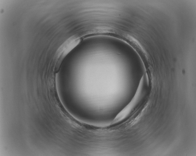 X0000073711081200608031233