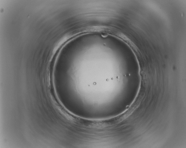 X0000073711083200608031233