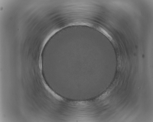 X0000073711084200608031233