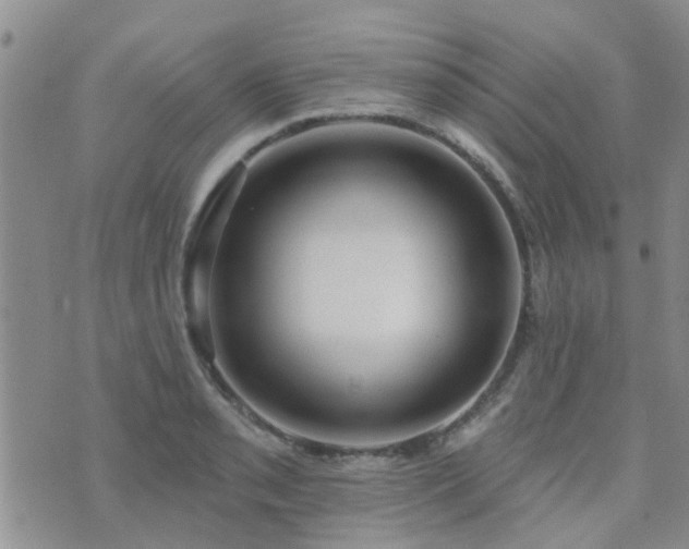 X0000073711085200608031233