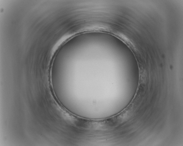 X0000073711086200608031233