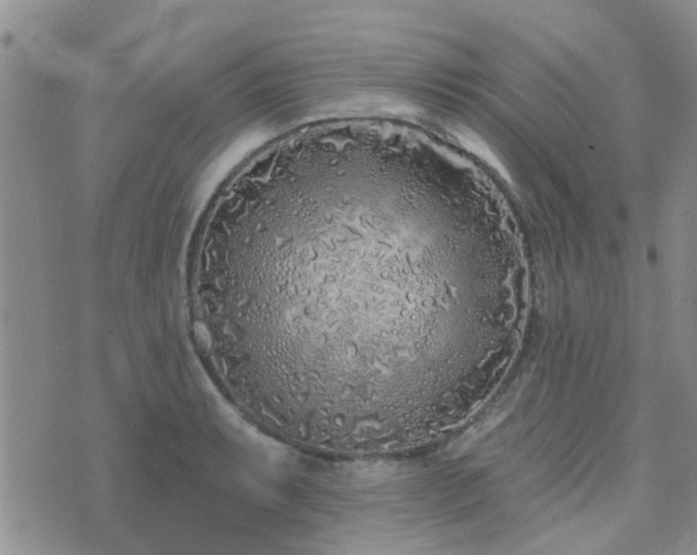 X0000073711087200608031233