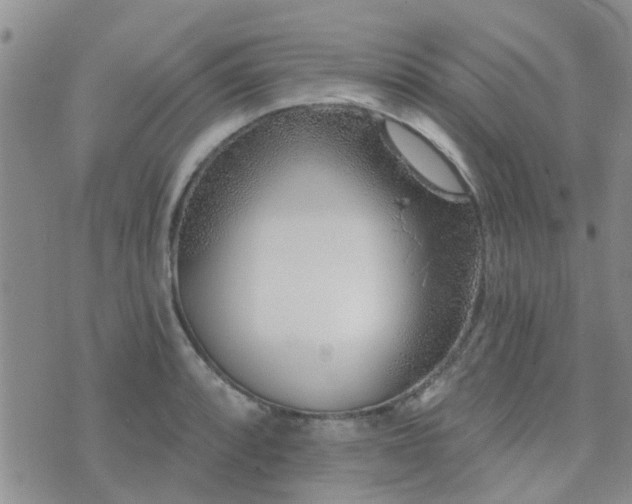 X0000073711088200608031233