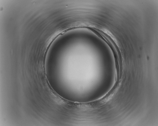 X0000073711089200608031233