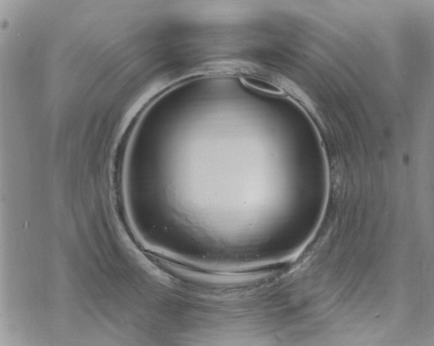 X0000073711091200608031233