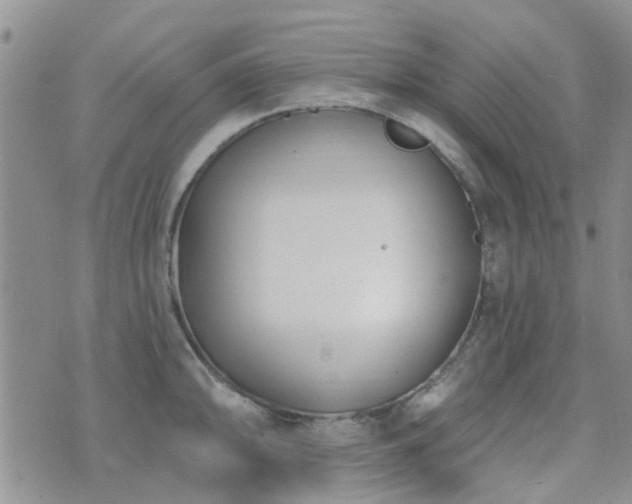 X0000073711094200608031233