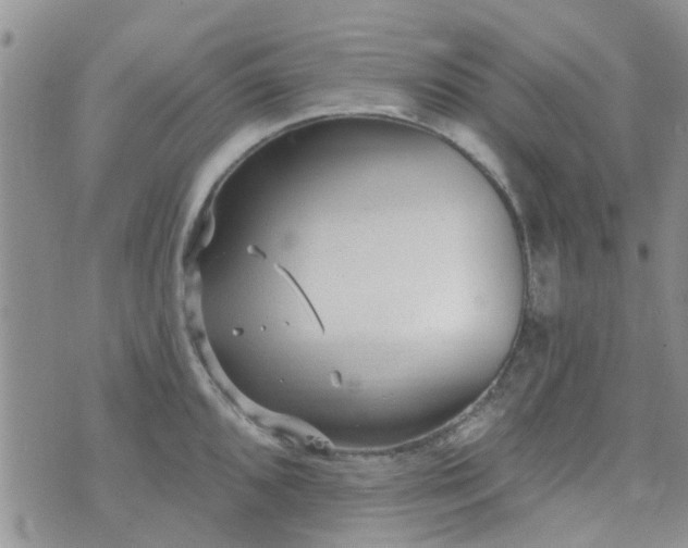 X0000073711096200608031233