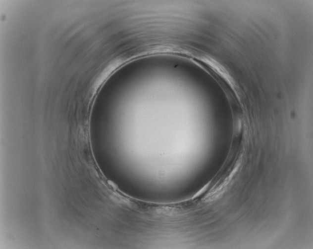 X0000073711097200608031233