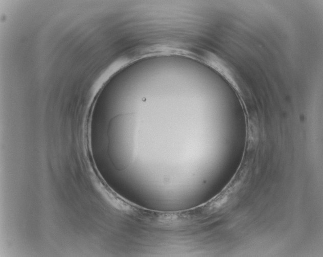 X0000073711098200608031233