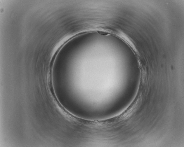 X0000073711101200608031233