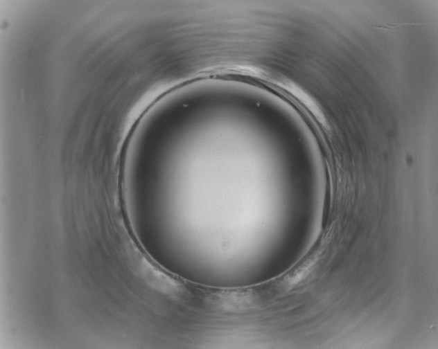 X0000073711102200608031233