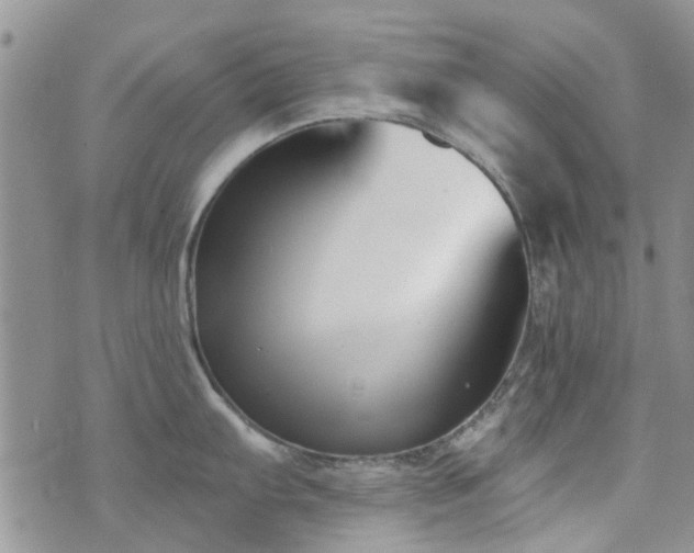 X0000073711103200608031233