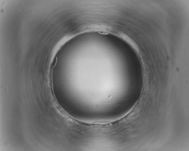 X0000073711104200608031233