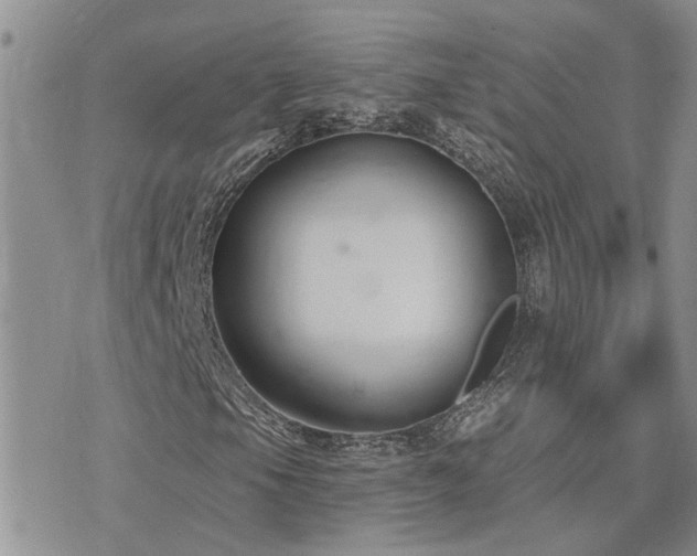 X0000073711105200608031232