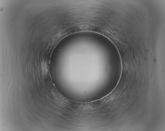 X0000073711106200608031232