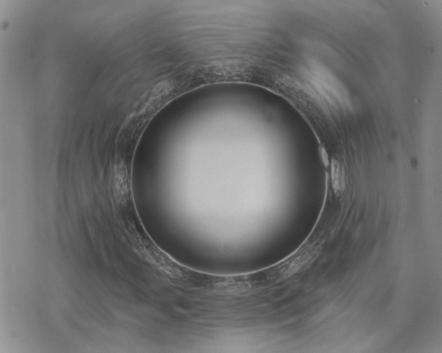 X0000073711107200608031232