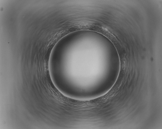 X0000073711108200608031232