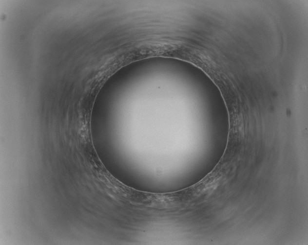 X0000073711109200608031232