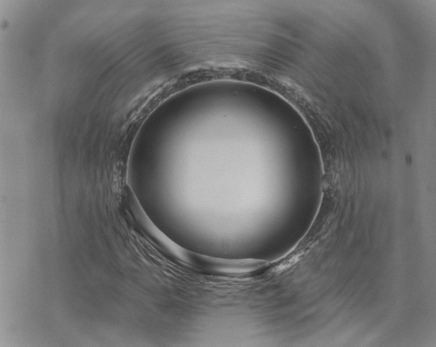 X0000073711110200608031232