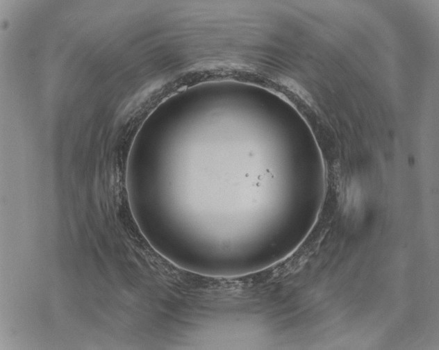 X0000073711111200608031232