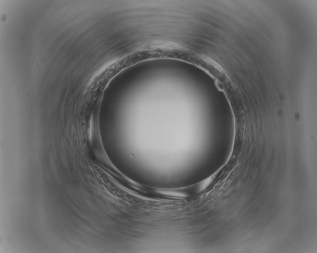 X0000073711112200608031232