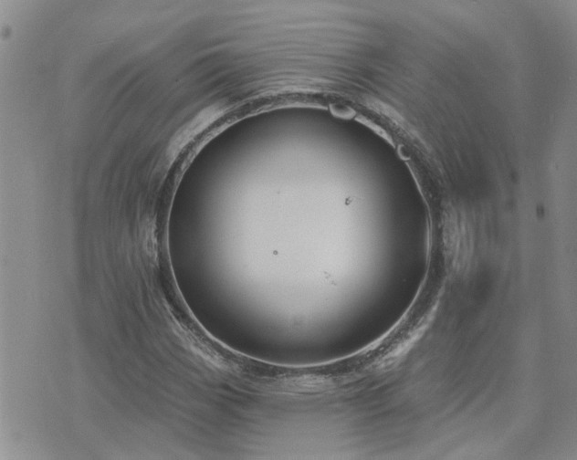 X0000073711113200608031232