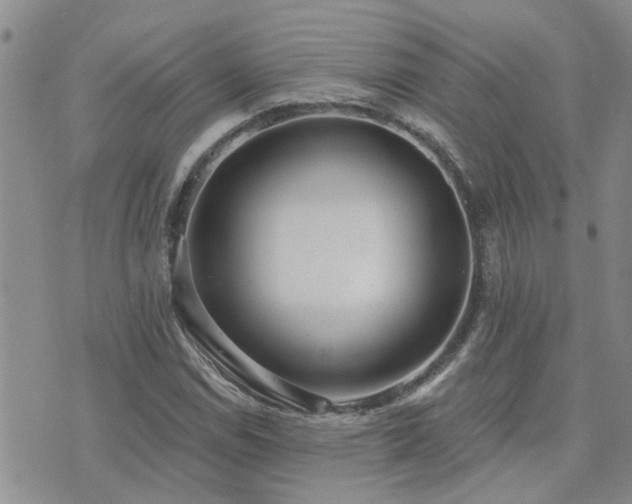 X0000073711114200608031232