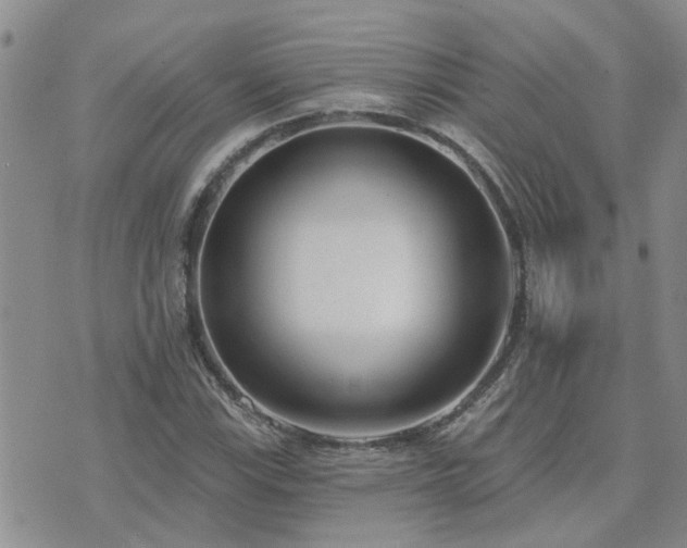 X0000073711115200608031232