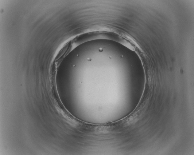 X0000073711116200608031233