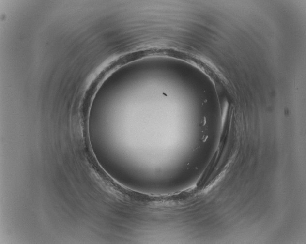 X0000073711118200608031233