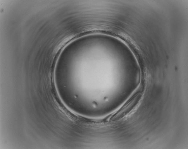 X0000073711121200608031233